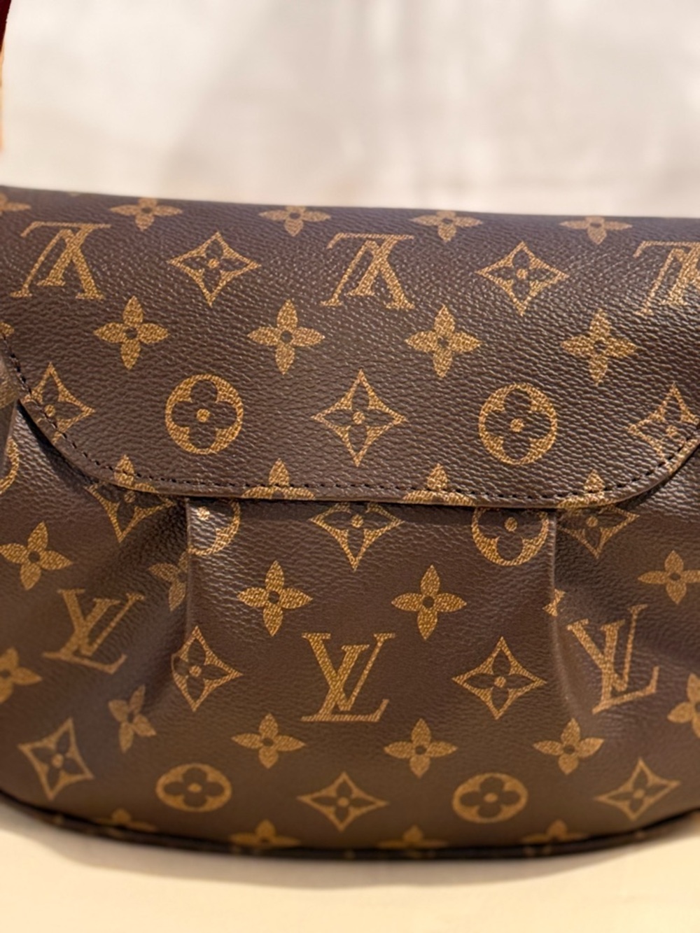 Luxury bag - Picture 11 of 13